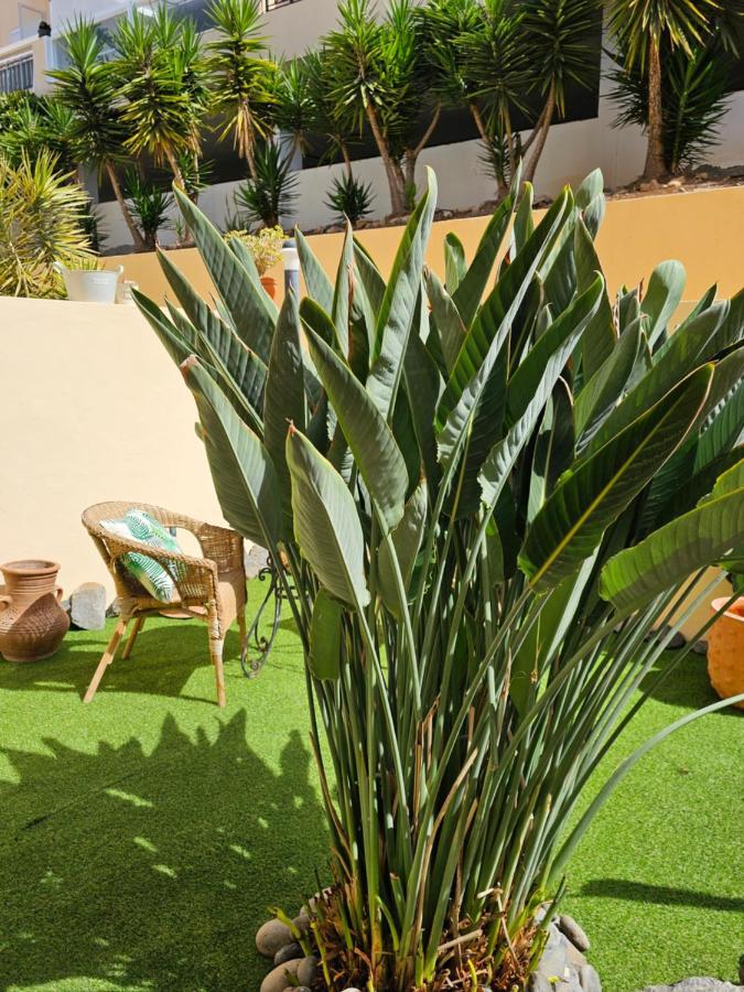 New Holiday Home Beautiful Sea View With Aircon, Costa Adeje Costa Adeje  Kültér fotó
